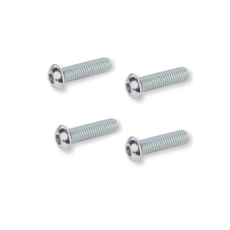 Pack de 4 Vis têtes rondes bombées  6x10