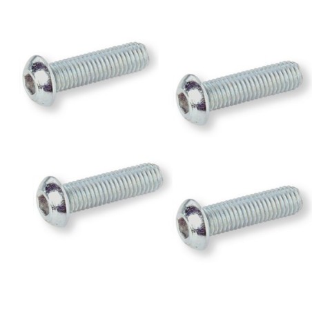 Pack de 4 Vis têtes rondes bombées  6x10