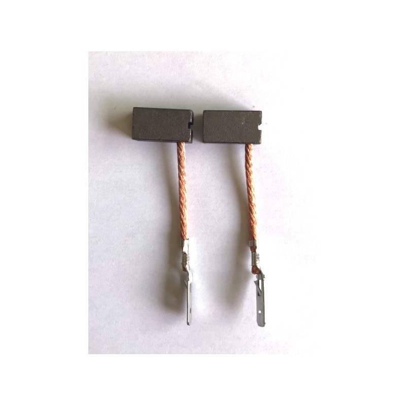 Paire de charbons pour moteur Minnkota 50 et 55 lbs