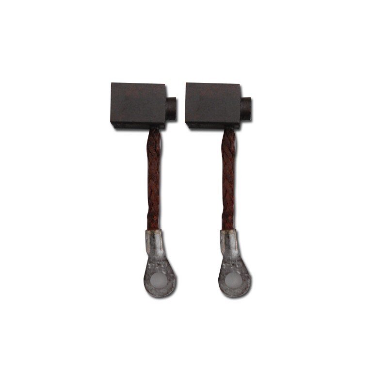 Paire de charbons pour moteur electrique 54/55 lbs