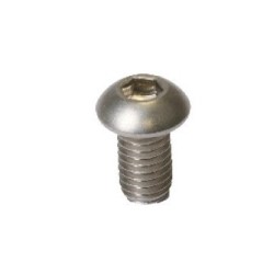 100 VIS TRHC INOX M6 X 20 MM