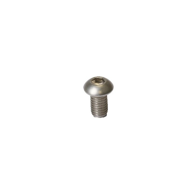 100 VIS TRHC INOX M6 X 20 MM