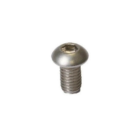 100 VIS TRHC INOX M6 X 20 MM