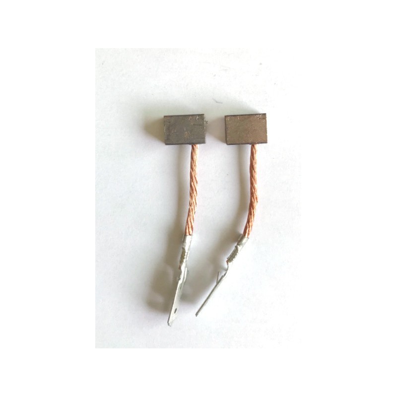 Paire de charbons pour moteur Hart X ploder 30 à 45 lbs