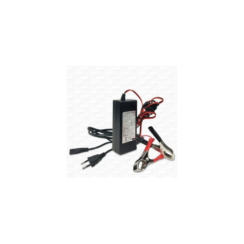 Chargeur 12V/2A