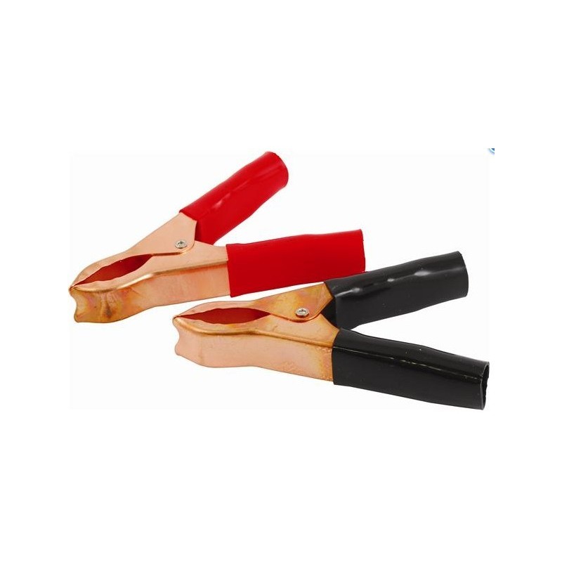 Pinces à Batterie 12 V - 10 A