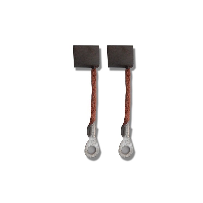Paire de charbons pour moteur electrique 34/36 lbs